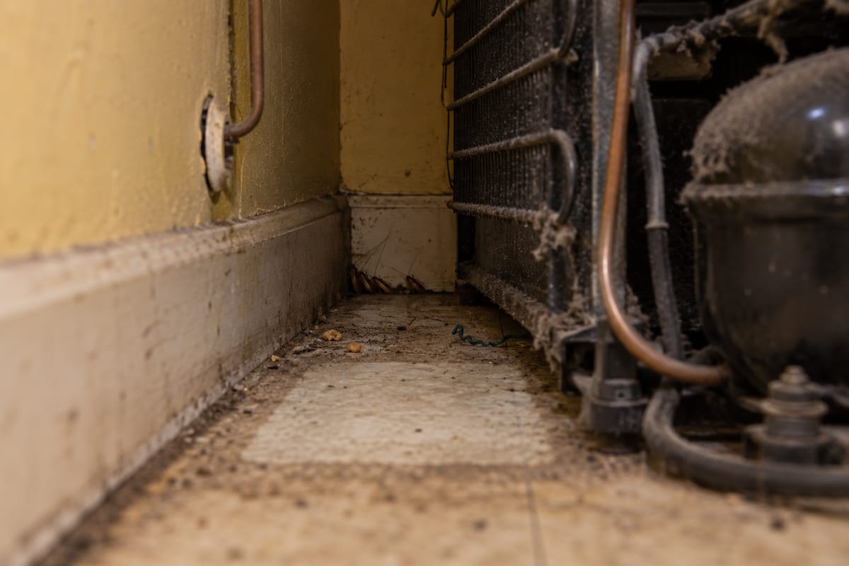 The narrow gap behind a refrigerator, showing dust, debris and dark specks along the floor and baseboard